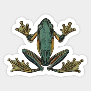 The Frog Sticker